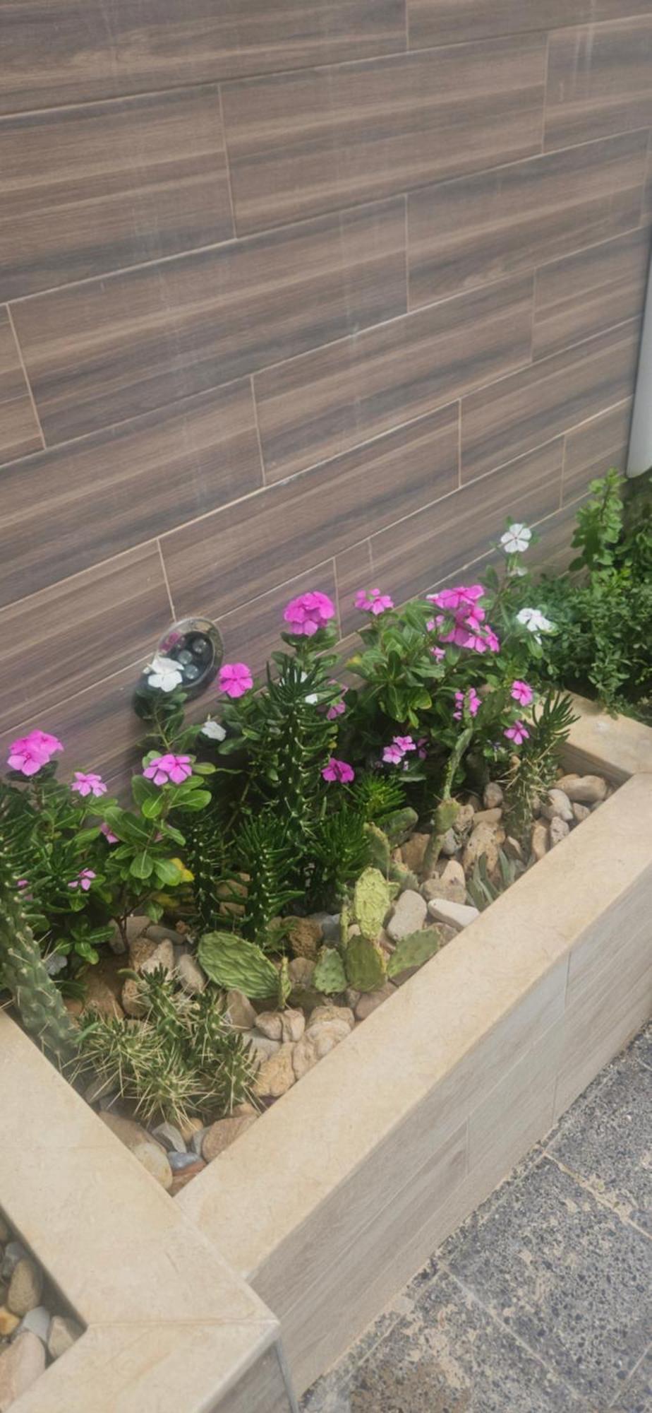 Apartament Samy's Luxury